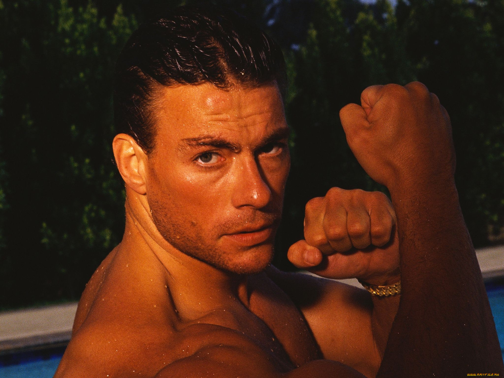, jean, claude, van, damme